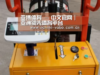 亚博案例展示三(图1)
