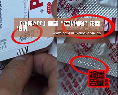 亚博