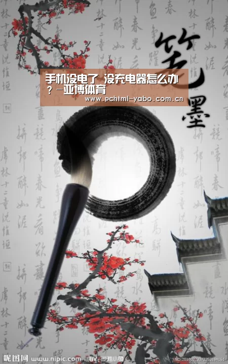 手机没电了 没充电器怎么办?-亚博体育(图2) 亚博APP