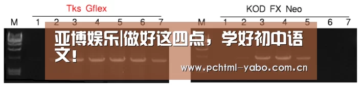 亚博娱乐