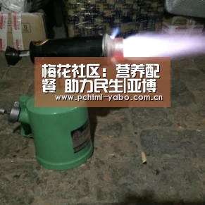 梅花社区:营养配餐 助力民生|亚博APP(图2) 亚博官方网站